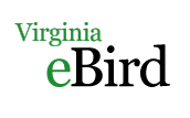 VA_eBird