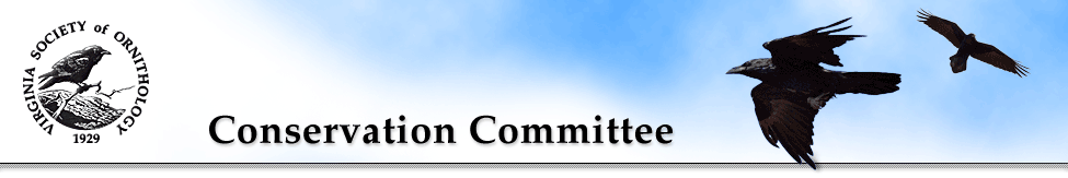 Conservation Committee